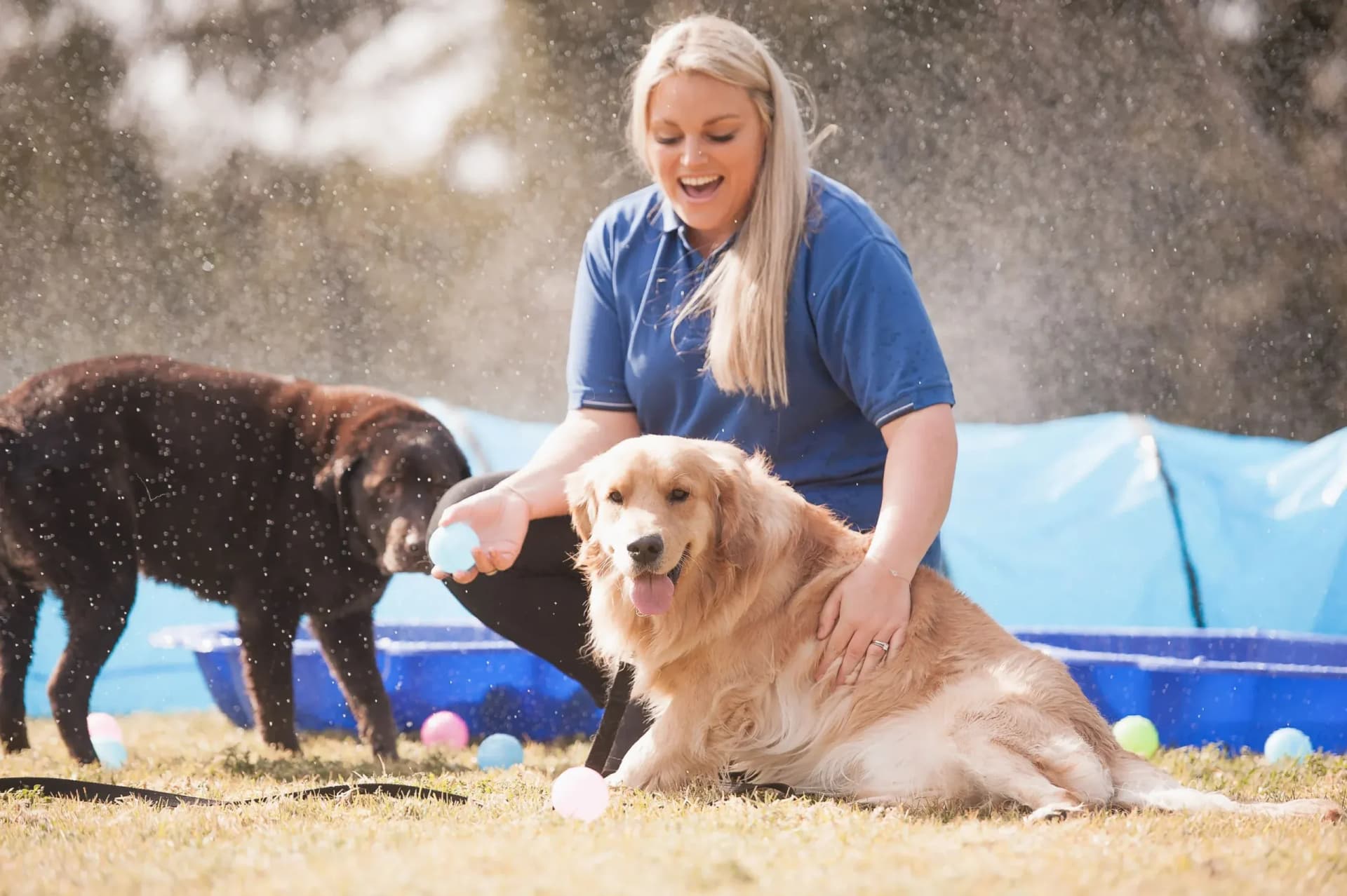 Hanrob Pet Hotels