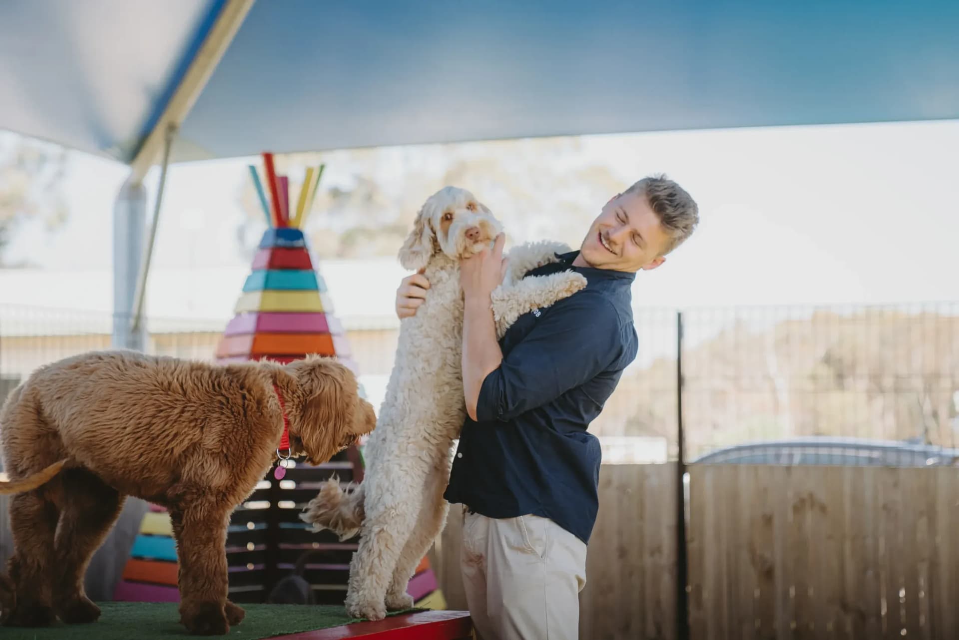 Hanrob Pet Hotels staff lifting two goldendoodles at daycare