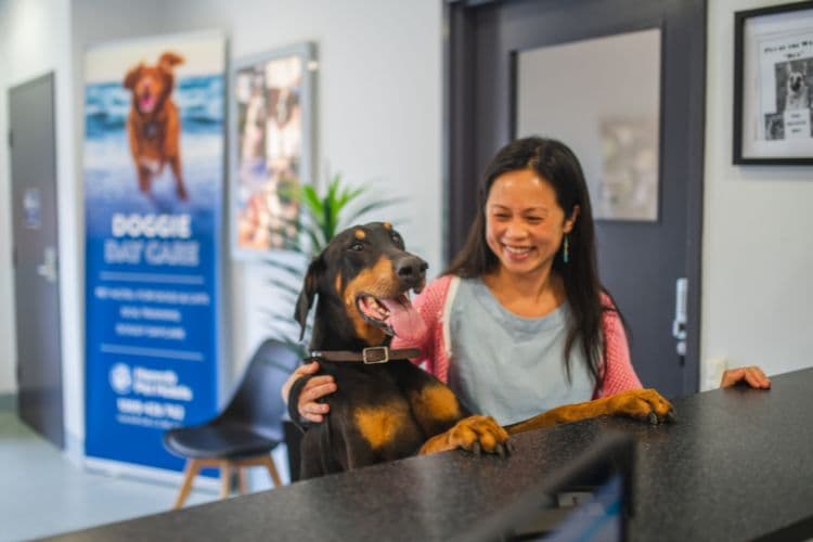 Hanrob Pet Hotels staff with a dog at reception