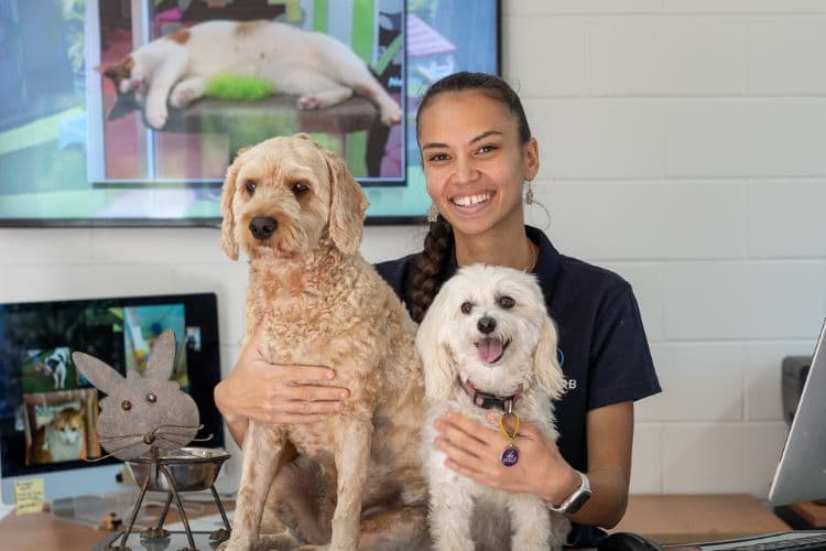 Hanrob Pet Hotels staff with two dogs at the front desk