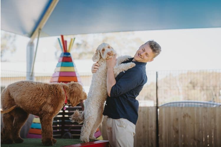 Hanrob Pet Hotels staff lifting a goldendoodle