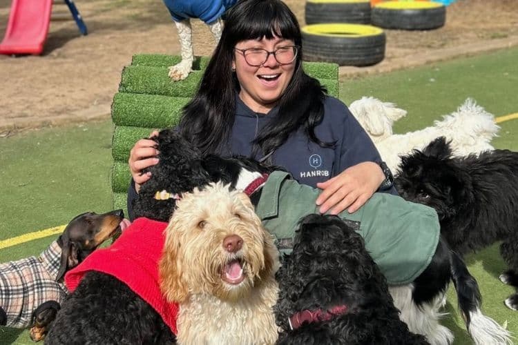 Hanrob Pet Hotels staff surrounded by small dogs