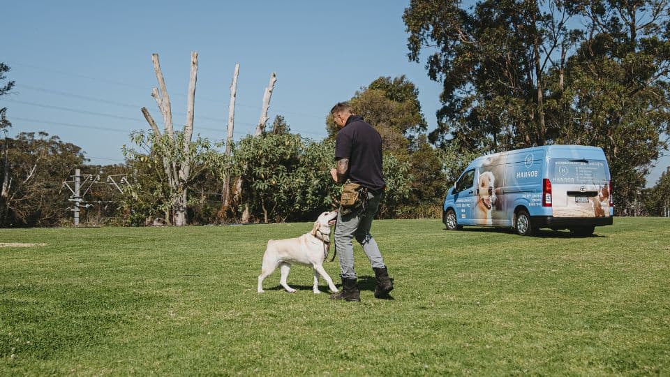 Hanrob Pet Hotels trainer with a dog beside the van