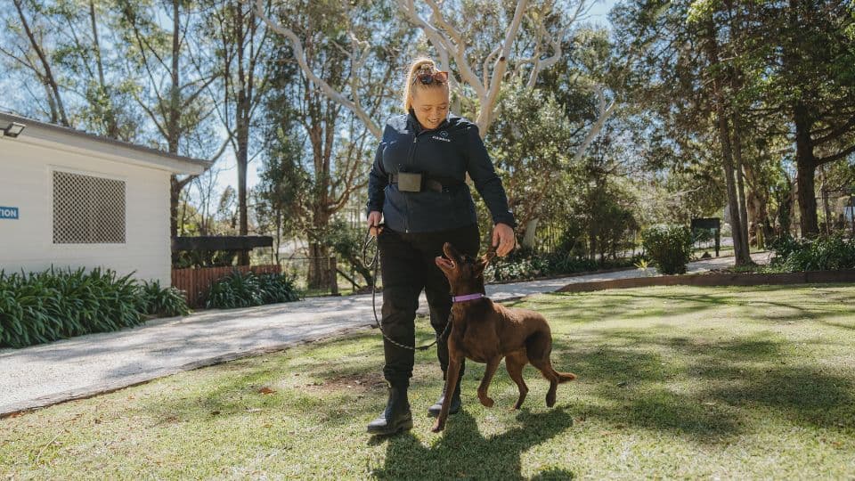 Hanrob Pet Hotels trainer with a dog outdoors