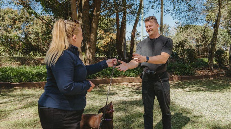 Hanrob Pet Hotels trainers handing off a dog's lead