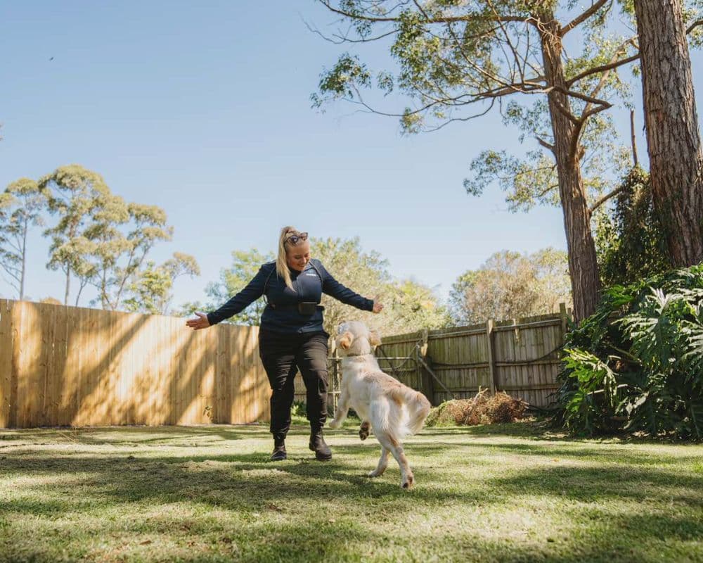 Hanrob Pet Hotels staff playing with a dog in the yard
