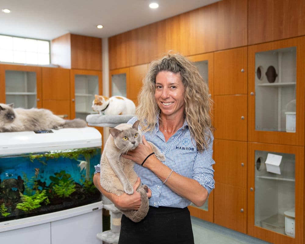 Hanrob Pet Hotels staff holding a cat indoors