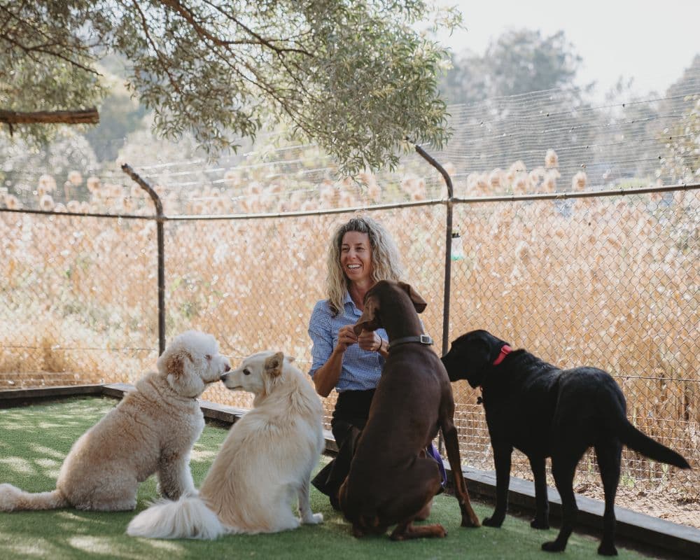 Hanrob Pet Hotels staff with a group of dogs outdoors