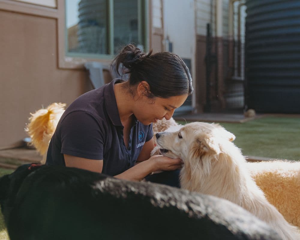 Hanrob Pet Hotels staff patting dogs outdoors