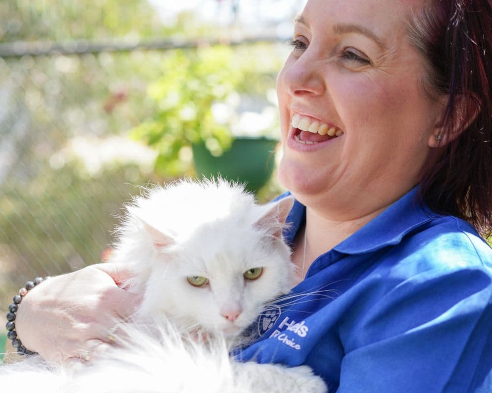Hanrob Pet Hotels staff cuddling a white cat