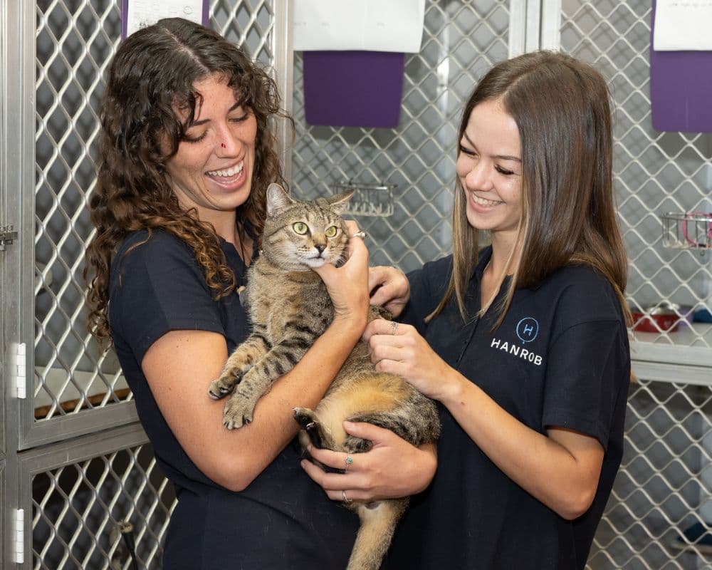 Hanrob Pet Hotels staff holding a cat