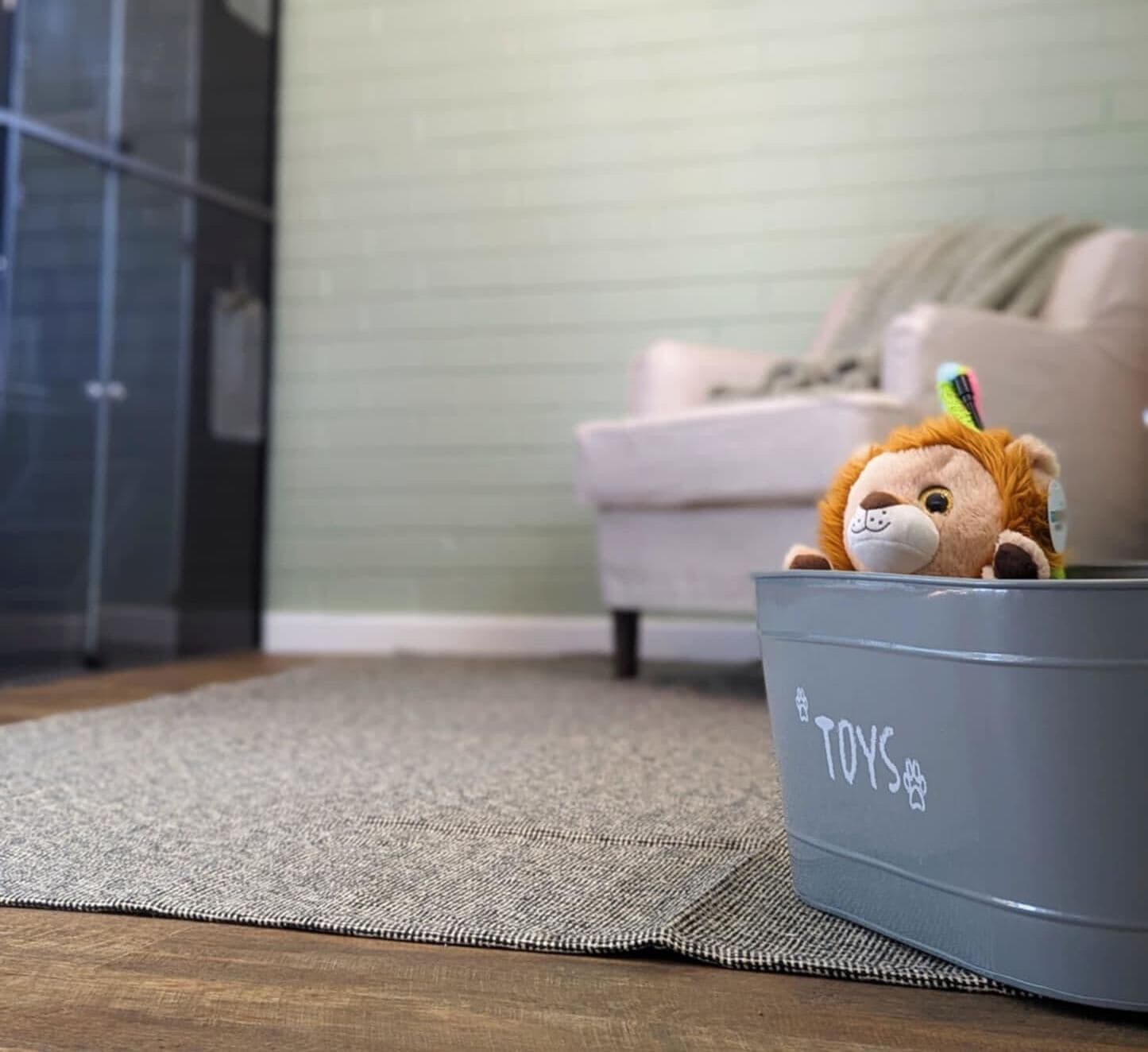 Cat Luxury Suite image 3