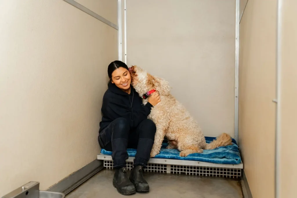 DSC00887-Enhanced-NR