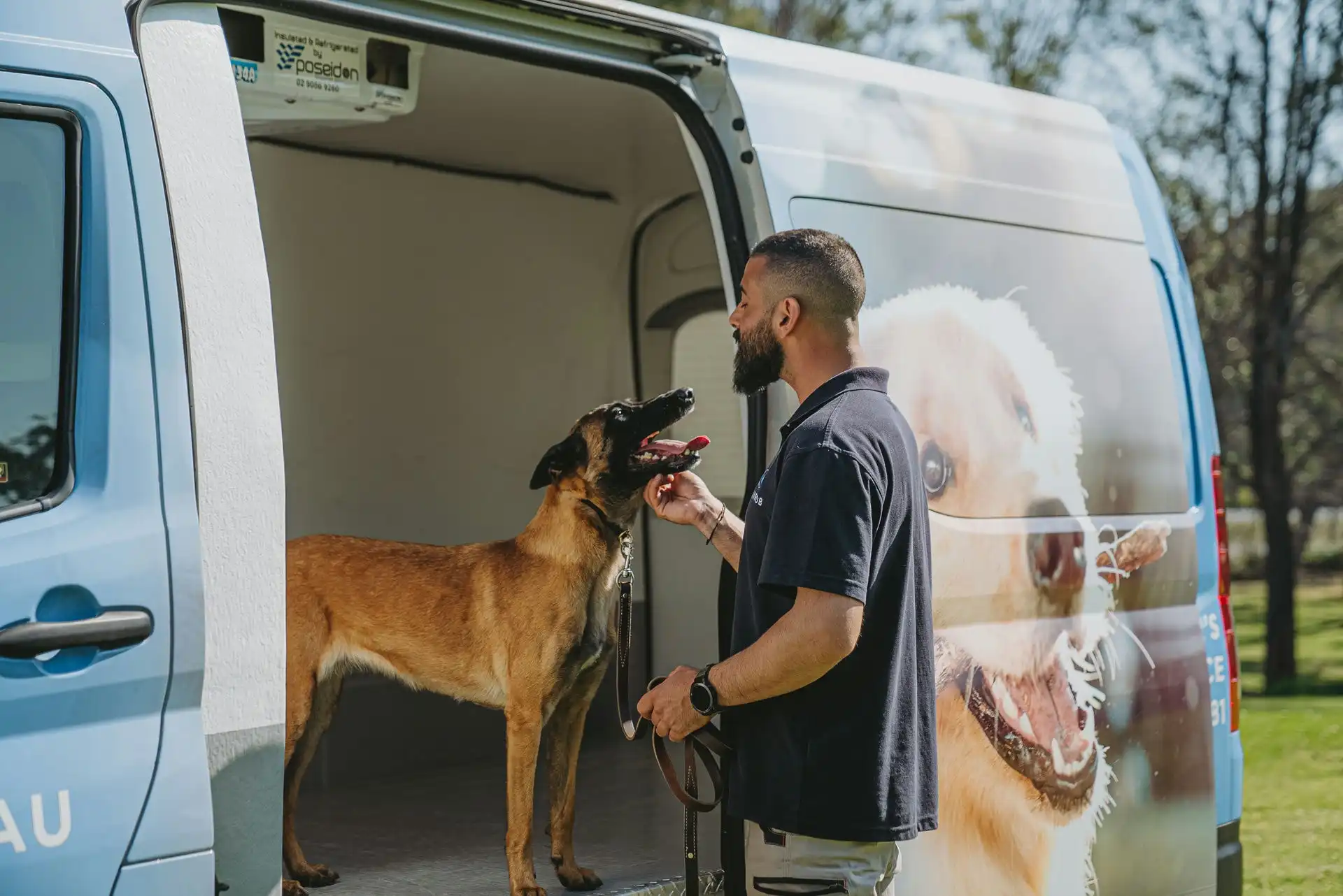 Hanrob Dog Boarding Canberra A Fun Holiday for Dogs