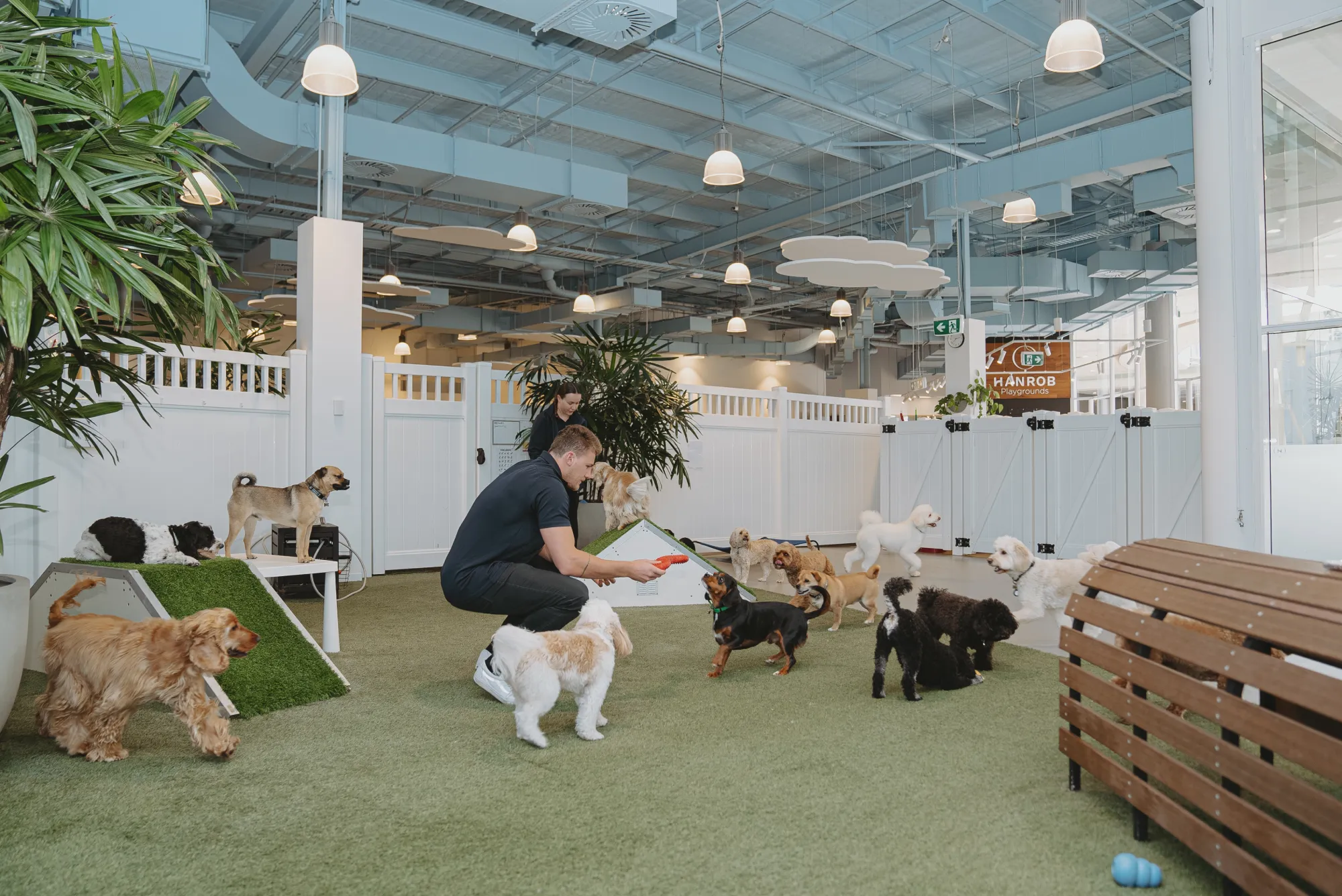 60% Off Dog Daycare Welcome Pass - Hanrob Pet Hotels