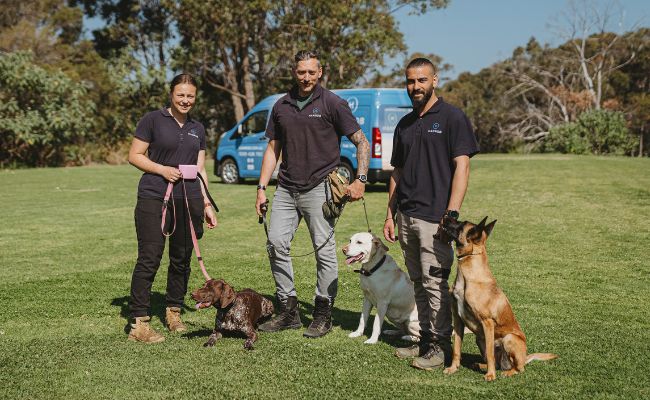 Group Obedience Classes for Dogs