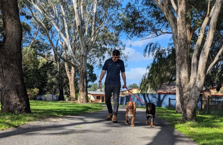 Hanrob Perth: A Team of Caring Pet Professionals