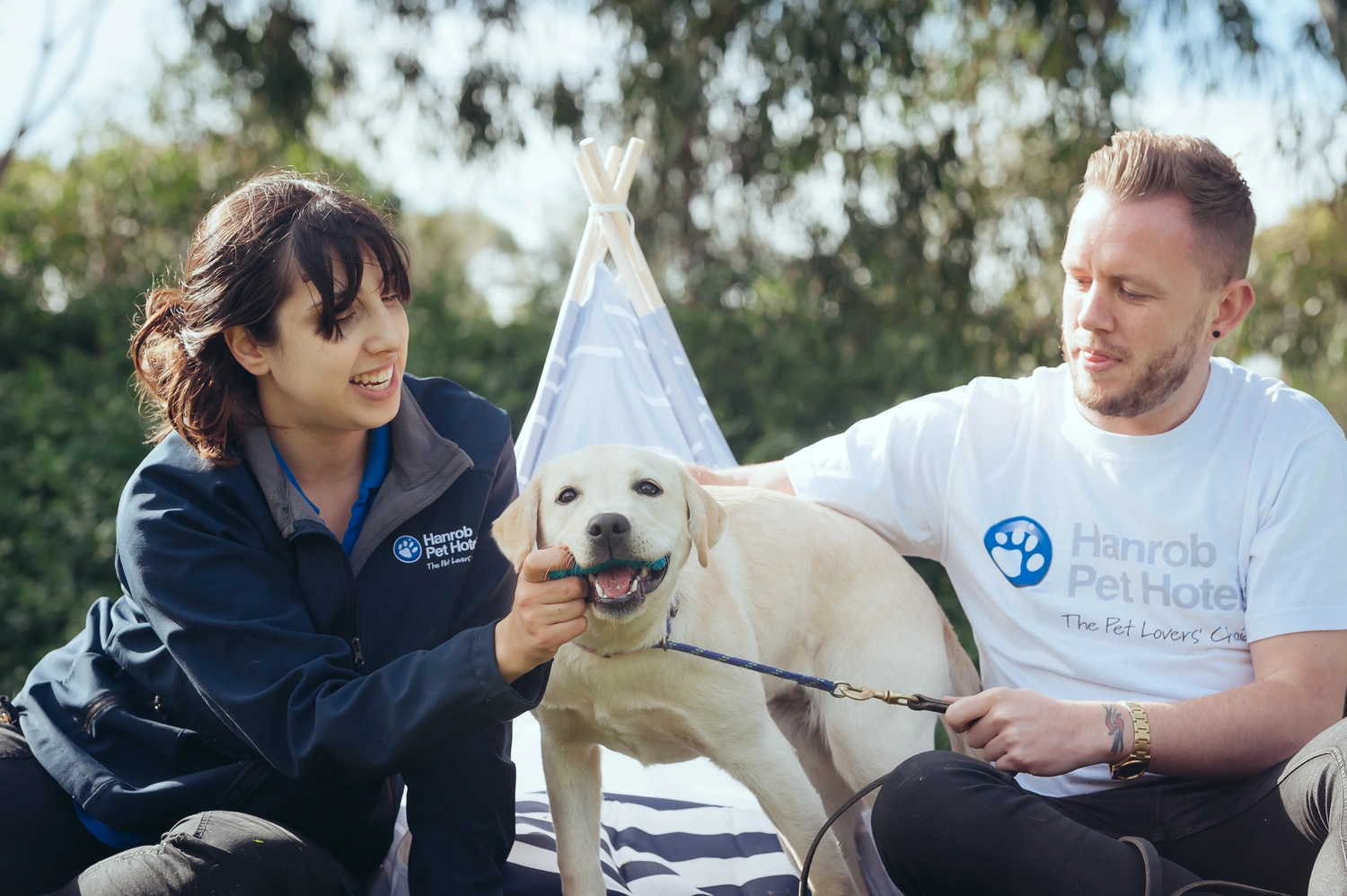 Puppy School and Training