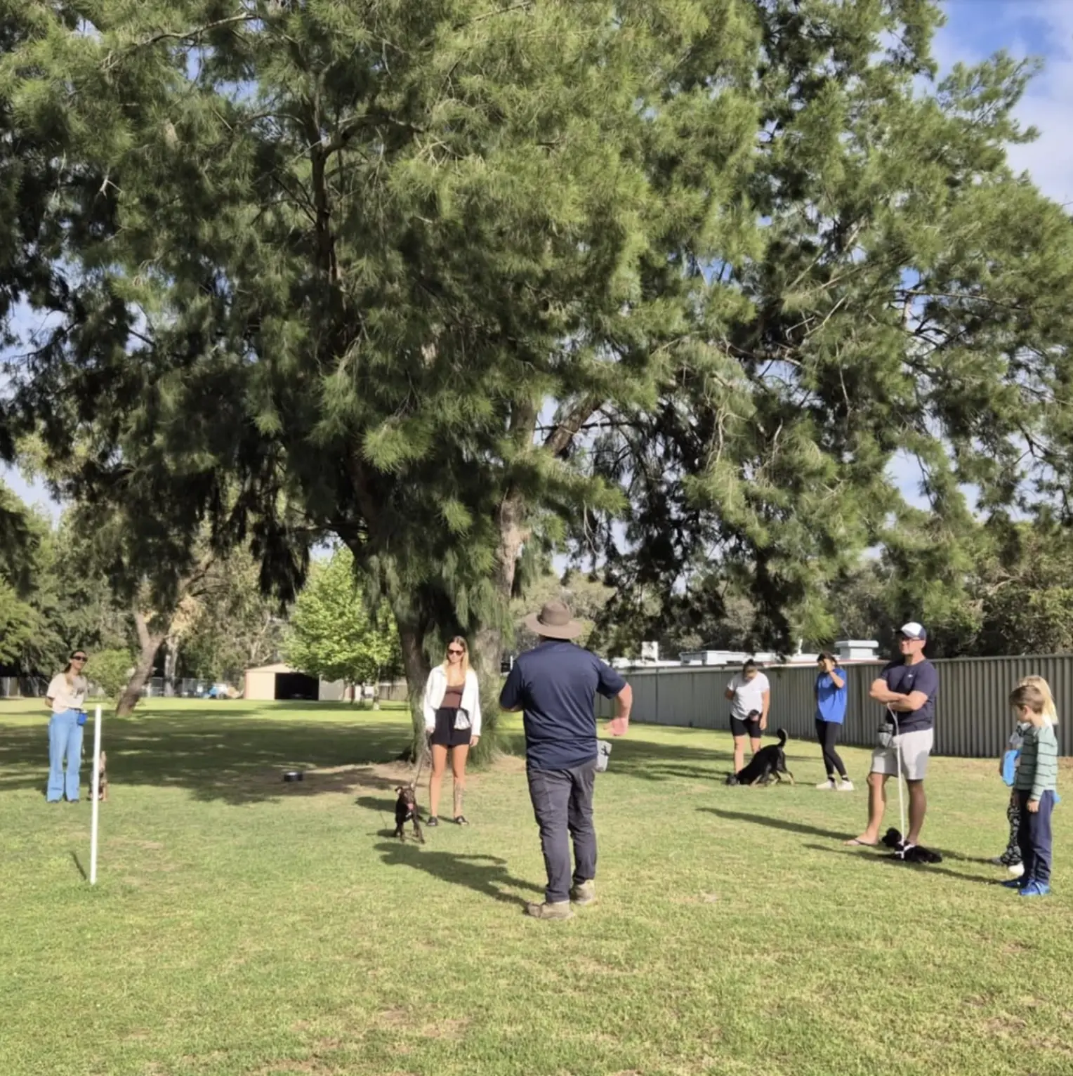 Dog Obedience Classes